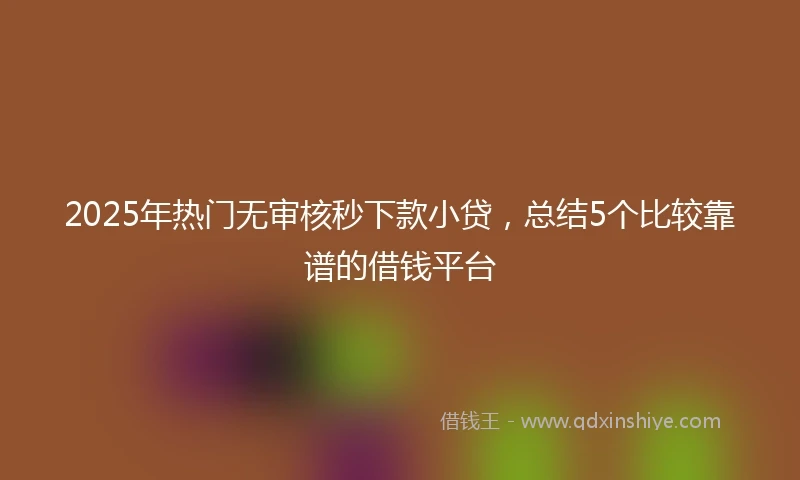2025年热门无审核秒下款小贷，总结5个比较靠谱的借钱平台