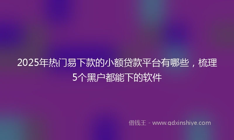 2025年热门易下款的小额贷款平台有哪些，梳理5个黑户都能下的软件