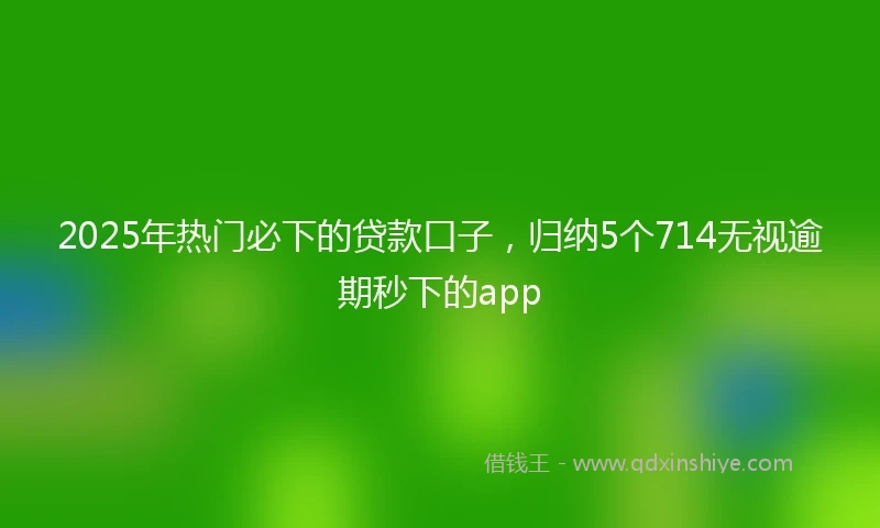 2025年热门必下的贷款口子，归纳5个714无视逾期秒下的app