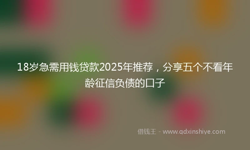18岁急需用钱贷款2025年推荐，分享五个不看年龄征信负债的口子
