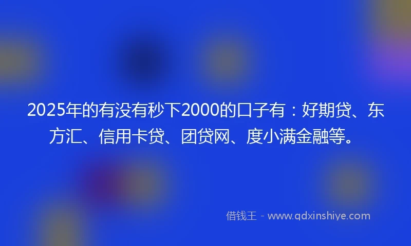 2025年的有没有秒下2000的口子有：好期贷、东方汇、信用卡贷、团贷网、度小满金融等。