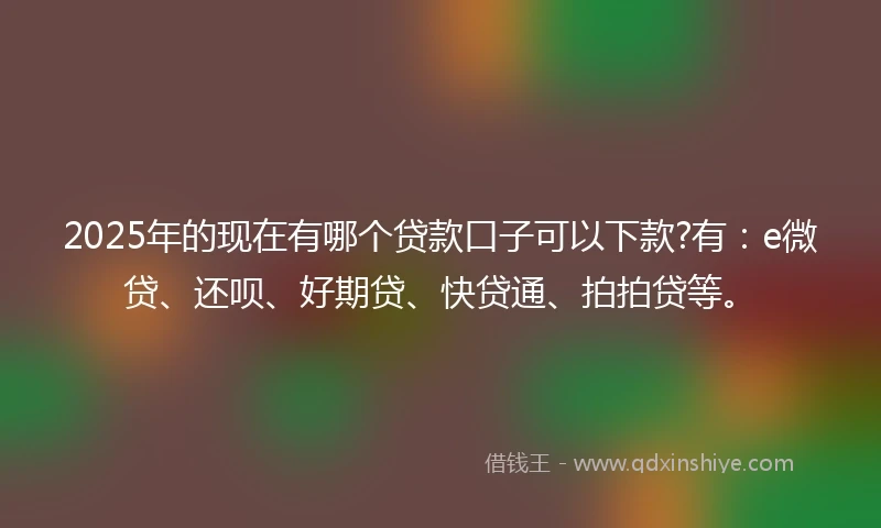 2025年的现在有哪个贷款口子可以下款?有：e微贷、还呗、好期贷、快贷通、拍拍贷等。