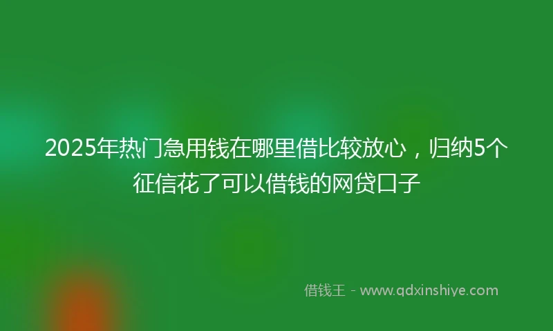 2025年热门急用钱在哪里借比较放心，归纳5个征信花了可以借钱的网贷口子