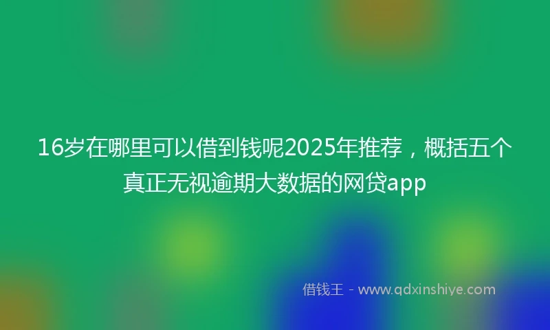 16岁在哪里可以借到钱呢2025年推荐，概括五个真正无视逾期大数据的网贷app