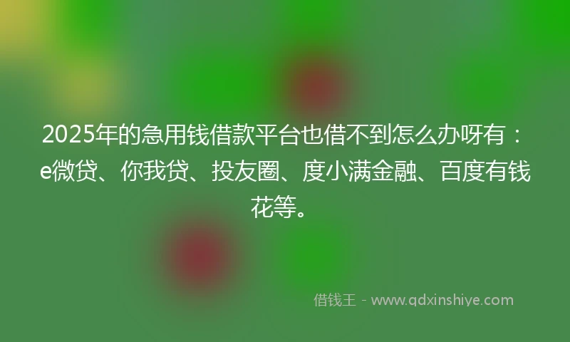 2025年的急用钱借款平台也借不到怎么办呀有：e微贷、你我贷、投友圈、度小满金融、百度有钱花等。