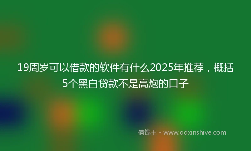 19周岁可以借款的软件有什么2025年推荐，概括5个黑白贷款不是高炮的口子