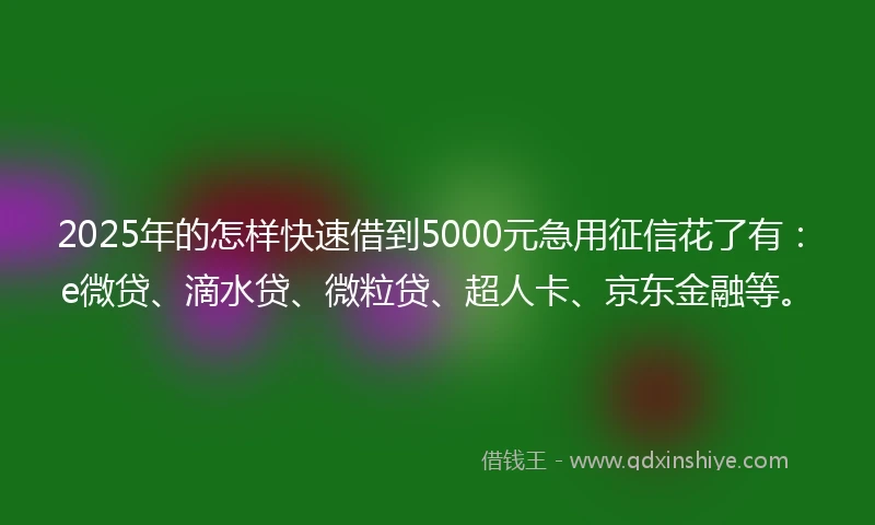 2025年的怎样快速借到5000元急用征信花了有：e微贷、滴水贷、微粒贷、超人卡、京东金融等。