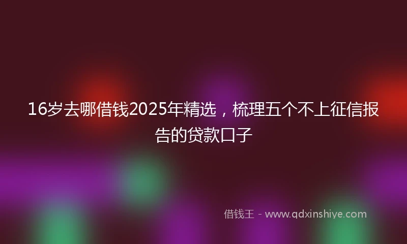 16岁去哪借钱2025年精选，梳理五个不上征信报告的贷款口子
