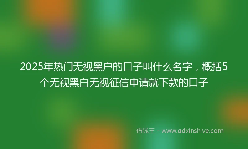 2025年热门无视黑户的口子叫什么名字，概括5个无视黑白无视征信申请就下款的口子