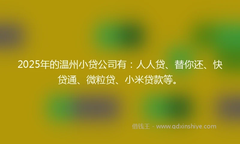 2025年的温州小贷公司有：人人贷、替你还、快贷通、微粒贷、小米贷款等。