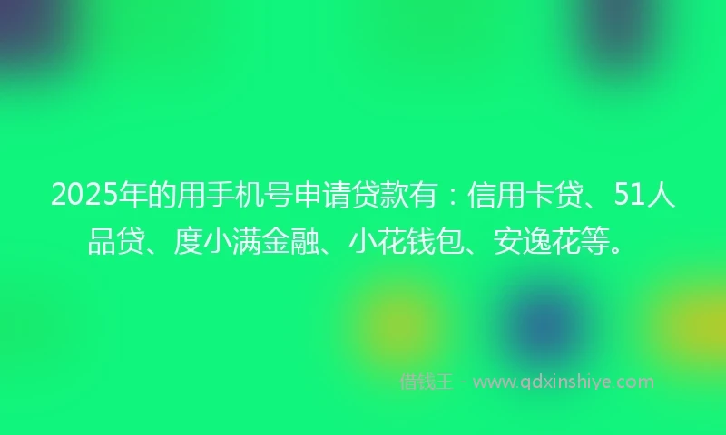 2025年的用手机号申请贷款有：信用卡贷、51人品贷、度小满金融、小花钱包、安逸花等。