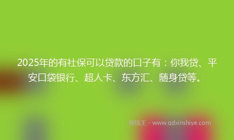 2025年的有社保可以贷款的口子有：你我贷、平安口袋银行、超人卡、东方汇、随身贷等。