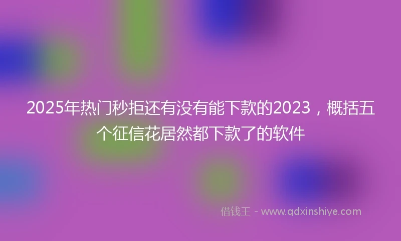 2025年热门秒拒还有没有能下款的2023，概括五个征信花居然都下款了的软件