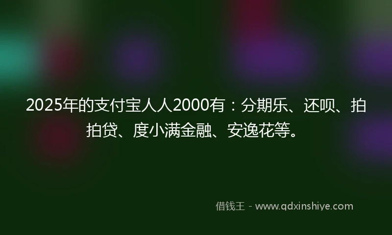 2025年的支付宝人人2000有：分期乐、还呗、拍拍贷、度小满金融、安逸花等。