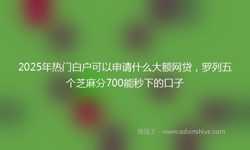2025年热门白户可以申请什么大额网贷，罗列五个芝麻分700能秒下的口子
