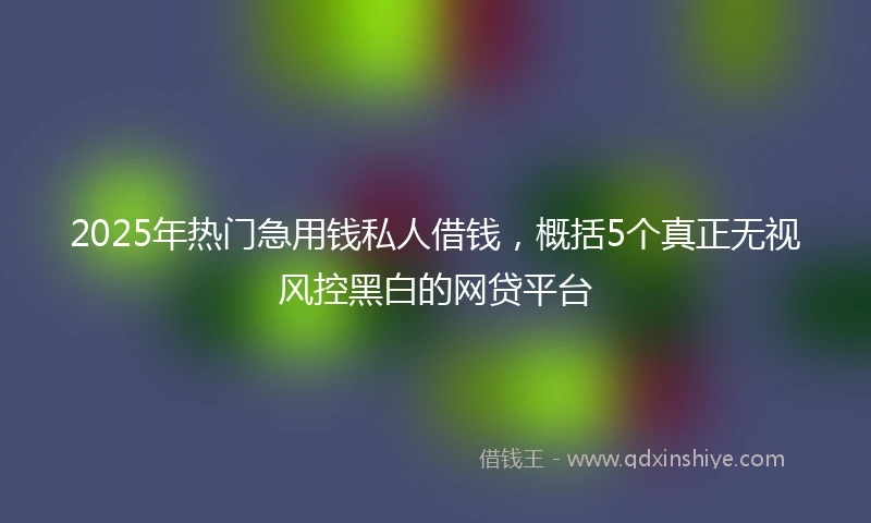 2025年热门急用钱私人借钱，概括5个真正无视风控黑白的网贷平台
