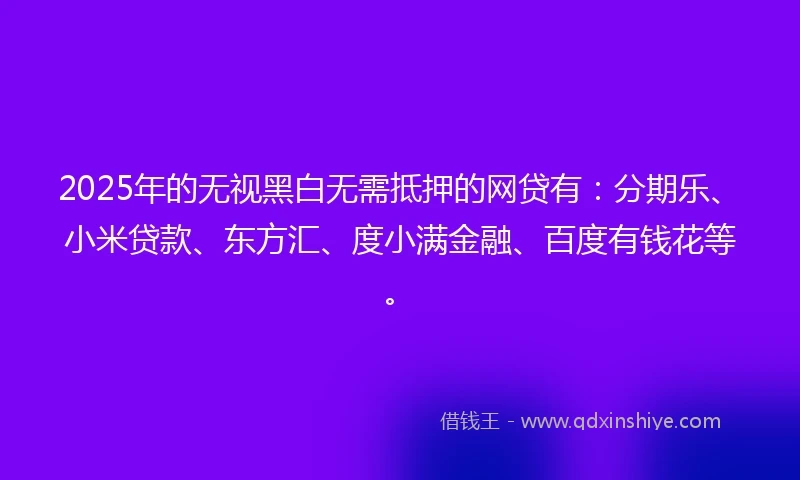 2025年的无视黑白无需抵押的网贷有：分期乐、小米贷款、东方汇、度小满金融、百度有钱花等。