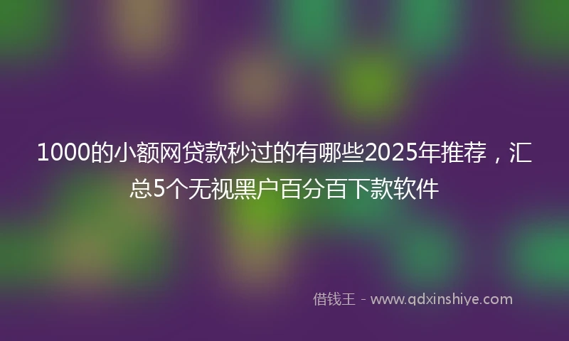 1000的小额网贷款秒过的有哪些2025年推荐，汇总5个无视黑户百分百下款软件