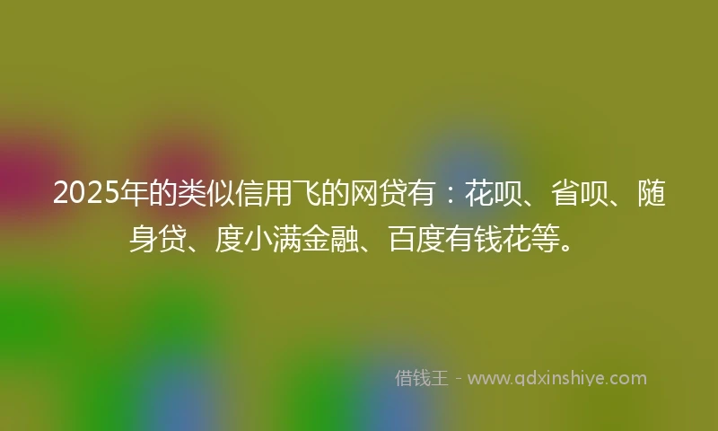 2025年的类似信用飞的网贷有：花呗、省呗、随身贷、度小满金融、百度有钱花等。