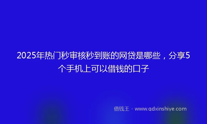 2025年热门秒审核秒到账的网贷是哪些，分享5个手机上可以借钱的口子