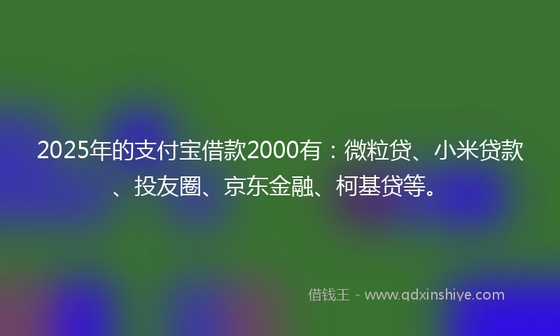 2025年的支付宝借款2000有：微粒贷、小米贷款、投友圈、京东金融、柯基贷等。