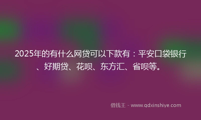 2025年的有什么网贷可以下款有：平安口袋银行、好期贷、花呗、东方汇、省呗等。
