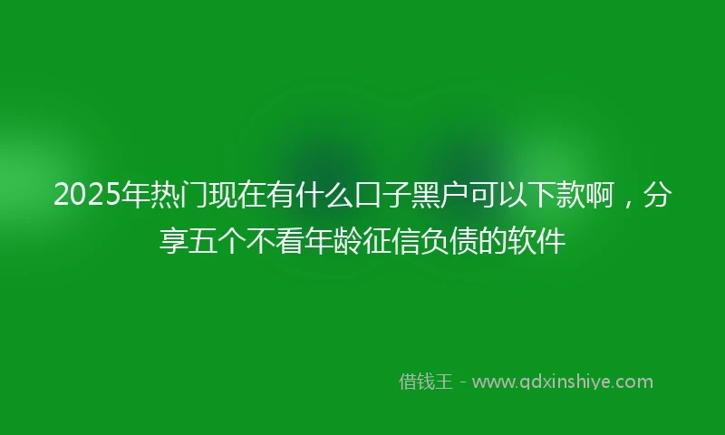 2025年热门现在有什么口子黑户可以下款啊，分享五个不看年龄征信负债的软件