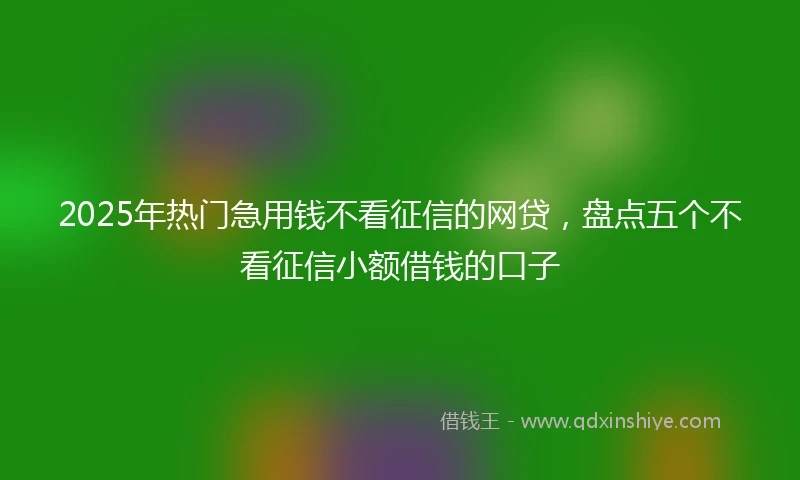 2025年热门急用钱不看征信的网贷，盘点五个不看征信小额借钱的口子