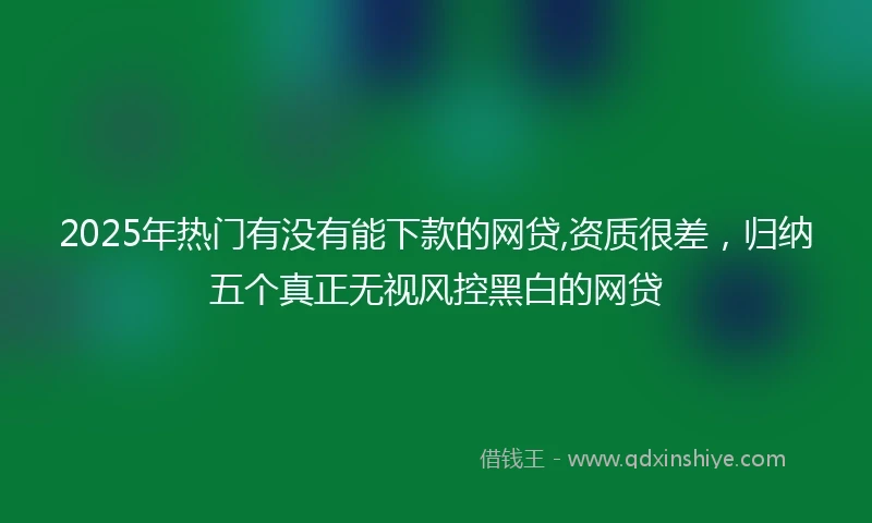 2025年热门有没有能下款的网贷,资质很差，归纳五个真正无视风控黑白的网贷