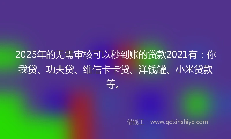 2025年的无需审核可以秒到账的贷款2021有：你我贷、功夫贷、维信卡卡贷、洋钱罐、小米贷款等。
