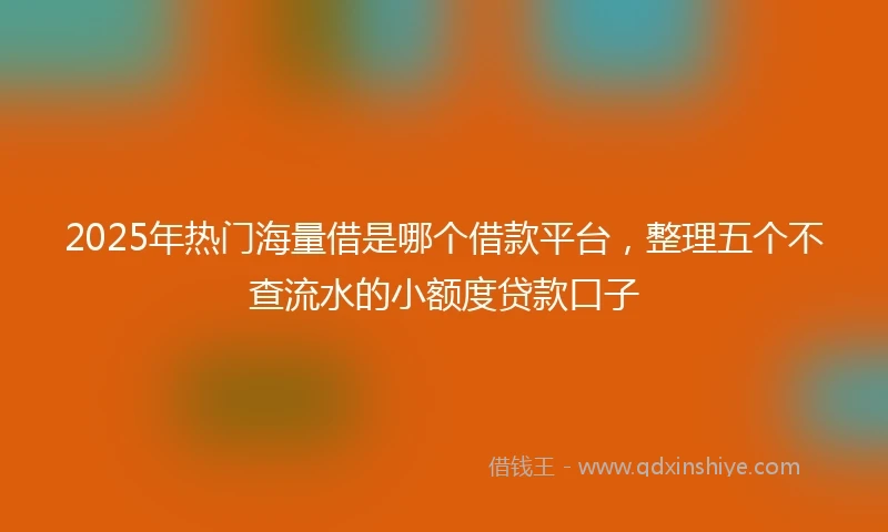 2025年热门海量借是哪个借款平台，整理五个不查流水的小额度贷款口子