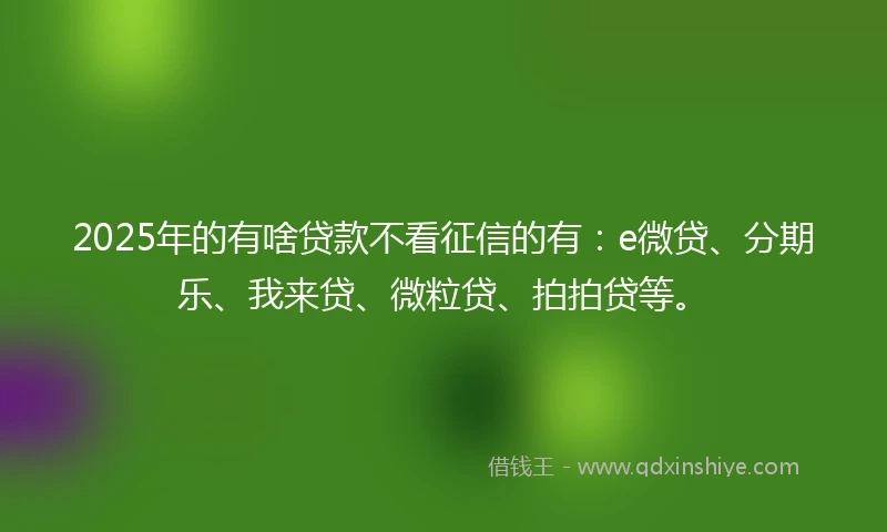 2025年的有啥贷款不看征信的有：e微贷、分期乐、我来贷、微粒贷、拍拍贷等。