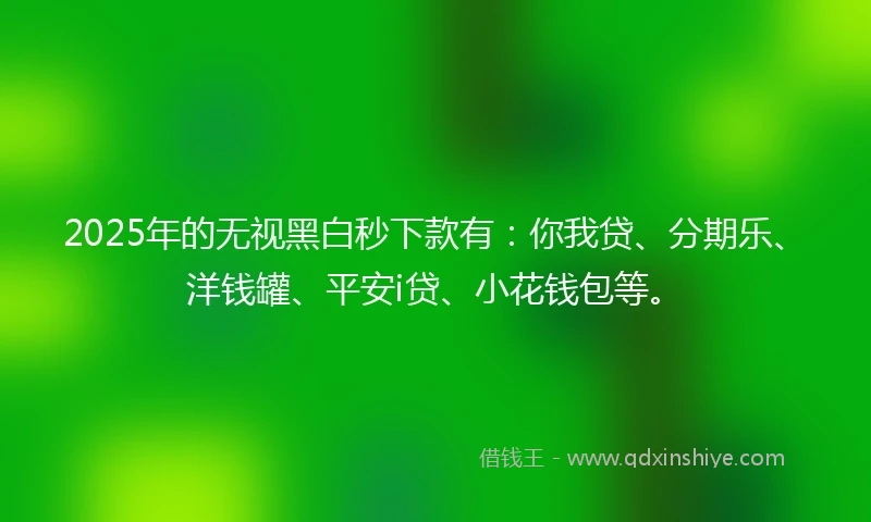 2025年的无视黑白秒下款有：你我贷、分期乐、洋钱罐、平安i贷、小花钱包等。