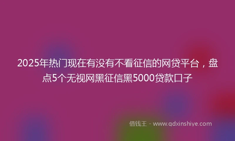 2025年热门现在有没有不看征信的网贷平台，盘点5个无视网黑征信黑5000贷款口子
