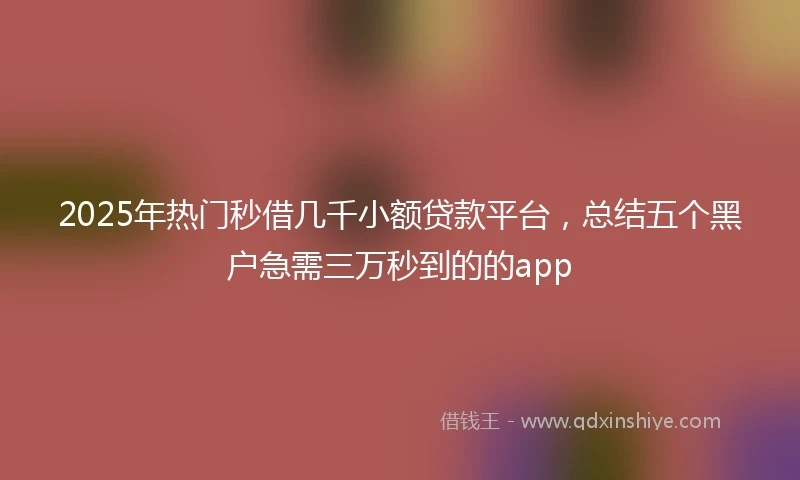 2025年热门秒借几千小额贷款平台，总结五个黑户急需三万秒到的的app