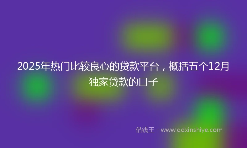 2025年热门比较良心的贷款平台，概括五个12月独家贷款的口子