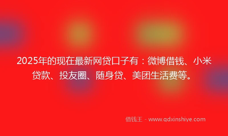 2025年的现在最新网贷口子有：微博借钱、小米贷款、投友圈、随身贷、美团生活费等。