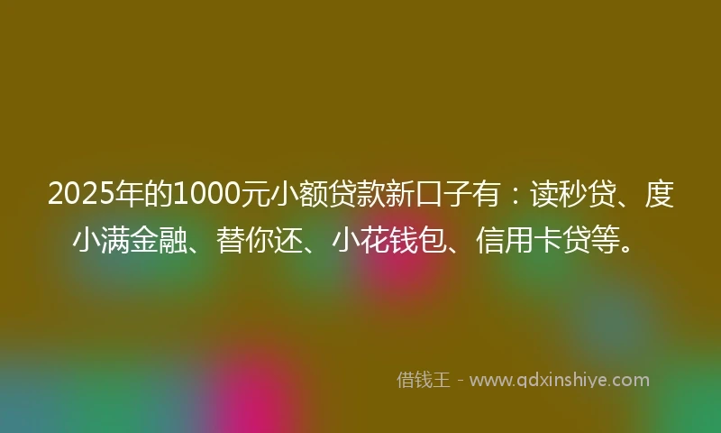 2025年的1000元小额贷款新口子有：读秒贷、度小满金融、替你还、小花钱包、信用卡贷等。
