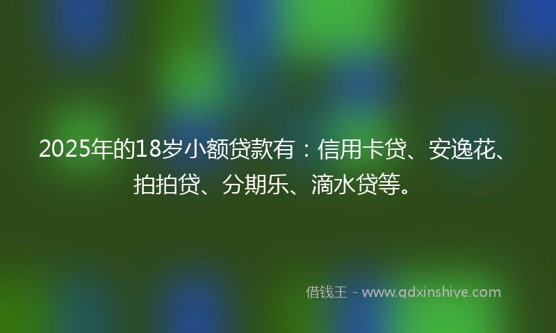 2025年的18岁小额贷款有：信用卡贷、安逸花、拍拍贷、分期乐、滴水贷等。
