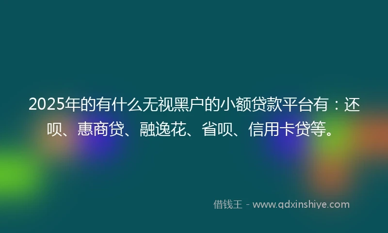 2025年的有什么无视黑户的小额贷款平台有：还呗、惠商贷、融逸花、省呗、信用卡贷等。