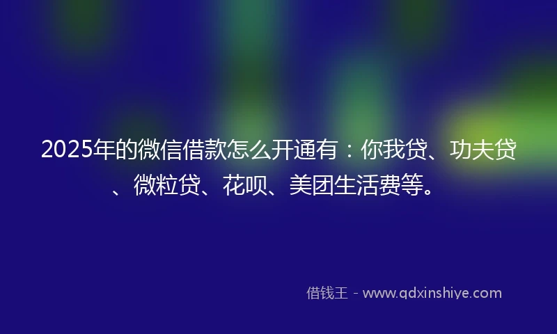 2025年的微信借款怎么开通有：你我贷、功夫贷、微粒贷、花呗、美团生活费等。