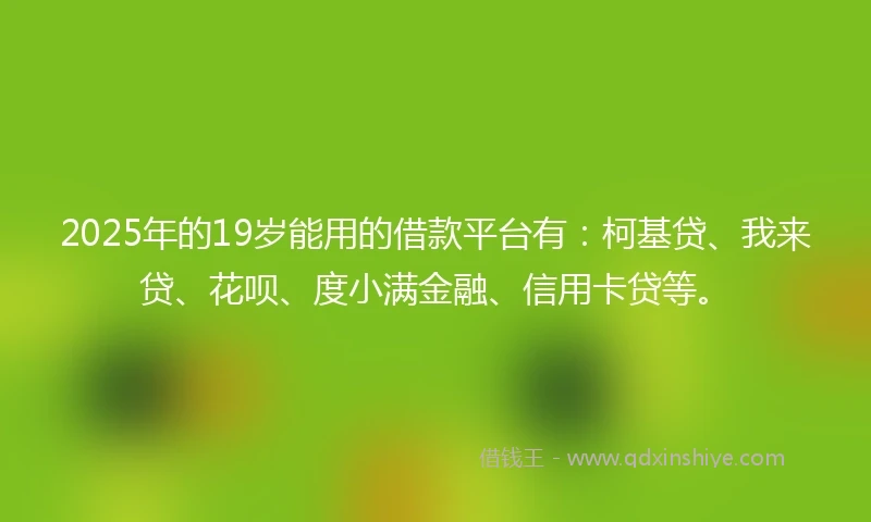 2025年的19岁能用的借款平台有：柯基贷、我来贷、花呗、度小满金融、信用卡贷等。