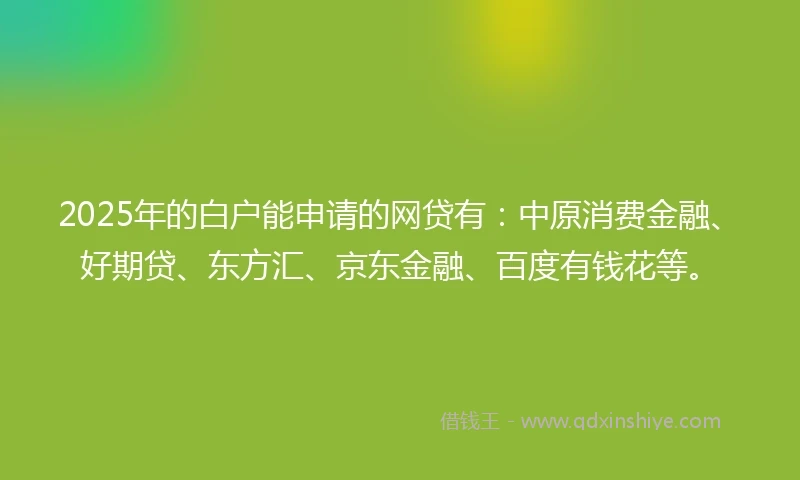 2025年的白户能申请的网贷有：中原消费金融、好期贷、东方汇、京东金融、百度有钱花等。