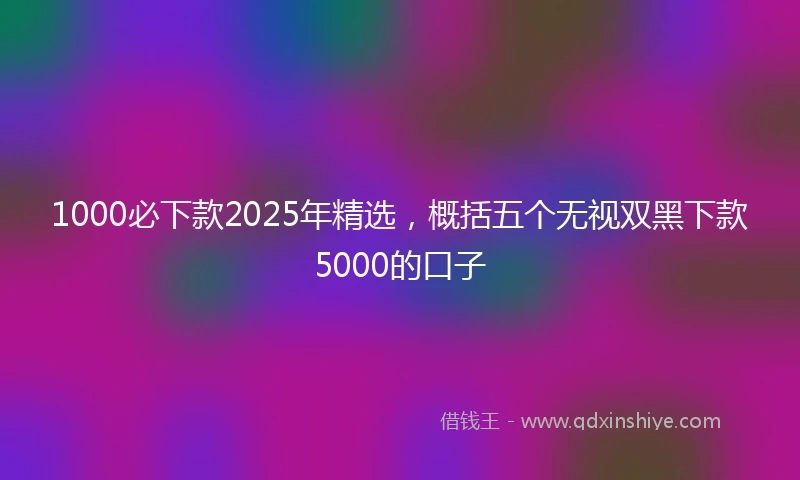 1000必下款2025年精选，概括五个无视双黑下款5000的口子