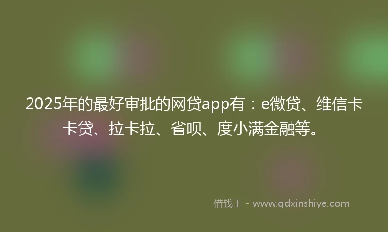 2025年的最好审批的网贷app有：e微贷、维信卡卡贷、拉卡拉、省呗、度小满金融等。