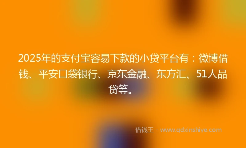 2025年的支付宝容易下款的小贷平台有：微博借钱、平安口袋银行、京东金融、东方汇、51人品贷等。
