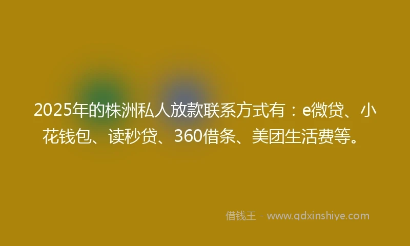 2025年的株洲私人放款联系方式有：e微贷、小花钱包、读秒贷、360借条、美团生活费等。