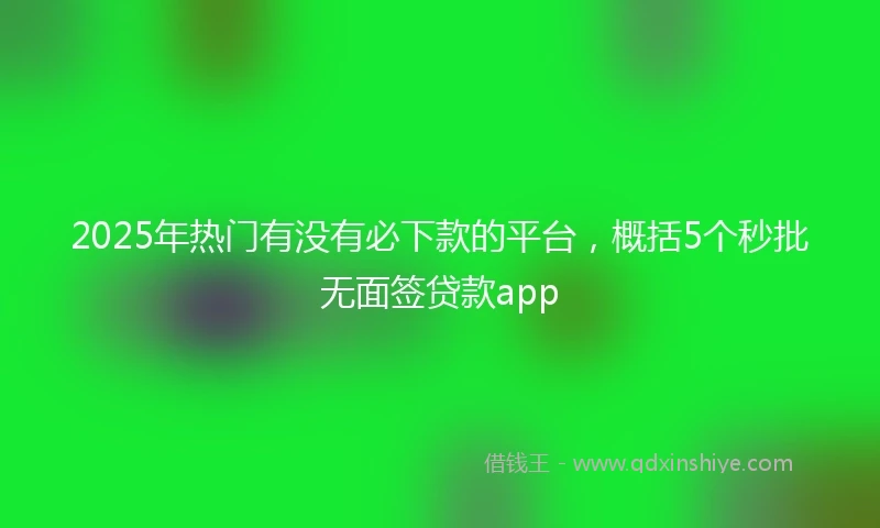 2025年热门有没有必下款的平台，概括5个秒批无面签贷款app