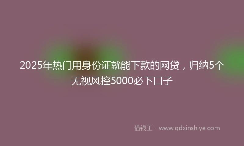 2025年热门用身份证就能下款的网贷，归纳5个无视风控5000必下口子