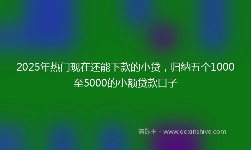 2025年热门现在还能下款的小贷，归纳五个1000至5000的小额贷款口子